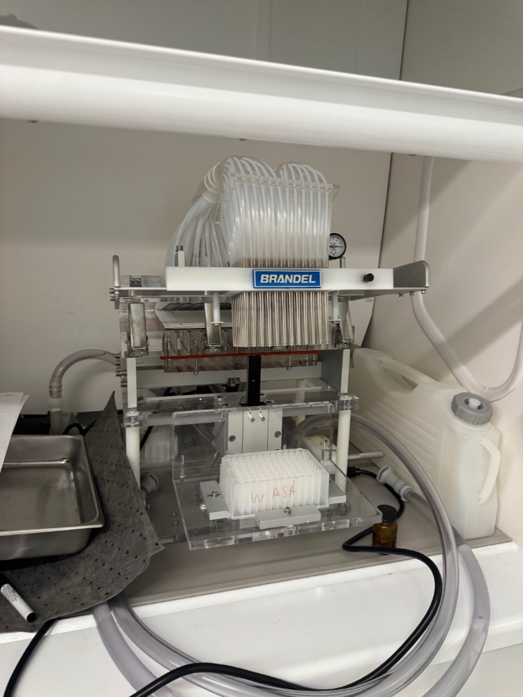 Image of Brandel Cell Harvester